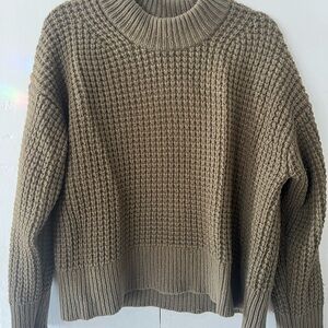 Everlane Chunky Knit Sweater in Olive Green